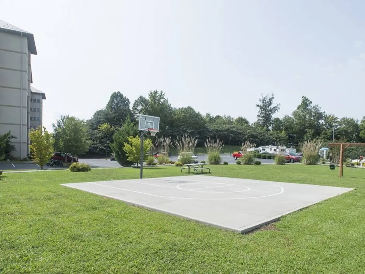 An energetic outdoor scene with a basketball hoop and open court surrounded by lush greenery, a picnic table, and ample grassy space. The area is designed for active play and family gatherings in a natural setting.