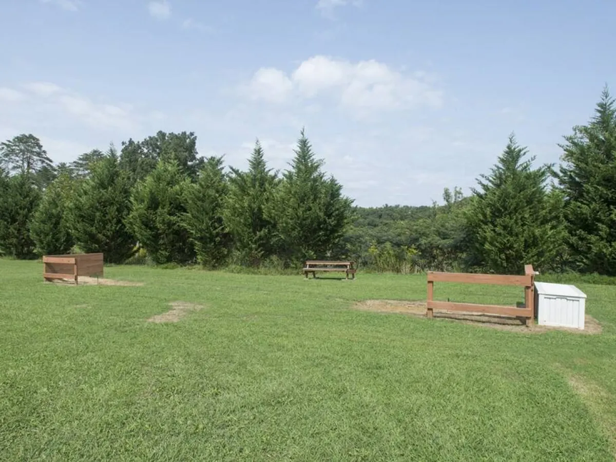 This image features inviting wooden benches set atop lush green grass, with trees creating a peaceful natural backdrop. The setup is ideal for picnics, relaxing, or gathering with friends and family in a communal outdoor area.